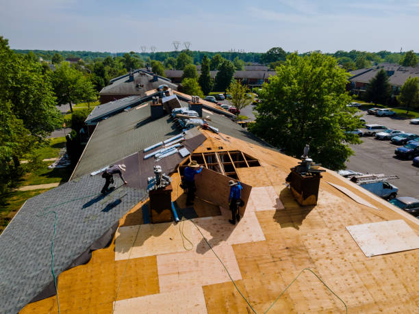 Trusted Emergency Roof Repair service in Rogers, KY - Brentwood Metal Roofing